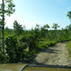 Illustration for article titled Off-Road Trails And Games Of Grab-Ass: A Look At Hummer's Bright Side